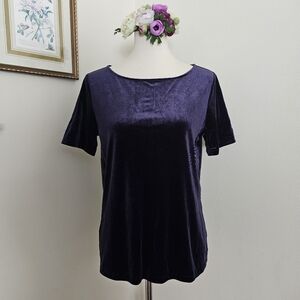 Ann Taylor Blue Indigo Velvet Tee